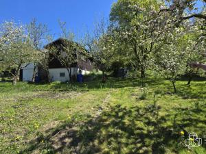 Prodej zahrady, Těšovice, 501 m2