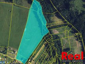 Prodej pozemku pro bydlení, Velenov, 37768 m2