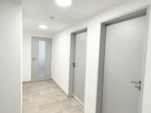 Pronájem bytu 2+kk, Olomouc, U solných mlýnů, 72 m2