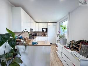 Prodej bytu 3+kk, Praha - Vysočany, Odlehlá, 64 m2