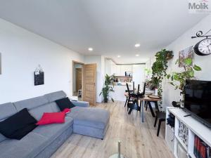 Prodej bytu 3+kk, Praha - Vysočany, Odlehlá, 64 m2