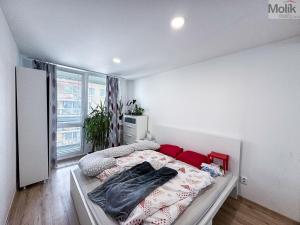 Prodej bytu 3+kk, Praha - Vysočany, Odlehlá, 64 m2
