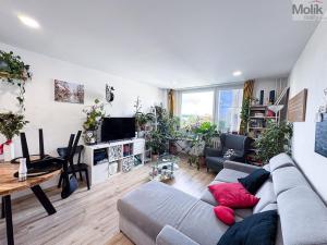 Prodej bytu 3+kk, Praha - Vysočany, Odlehlá, 64 m2