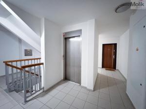 Prodej bytu 3+kk, Praha - Vysočany, Odlehlá, 64 m2