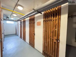 Prodej bytu 3+kk, Praha - Vysočany, Odlehlá, 64 m2