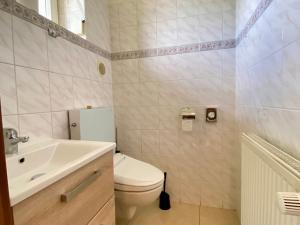 Pronájem rodinného domu, Vyškov, 300 m2
