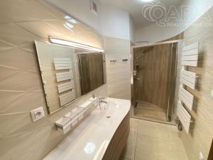 Pronájem rodinného domu, Vyškov, 300 m2
