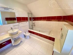 Pronájem rodinného domu, Vyškov, 300 m2