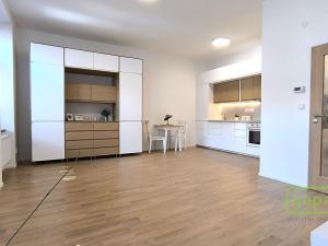 Pronájem bytu 2+kk, Brno - Brno-město, Jezuitská, 41 m2