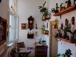 Pronájem bytu 2+1, Žatec, Lva Tolstého, 60 m2