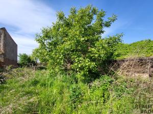 Prodej rodinného domu, Jaroslavice, Školní, 135 m2