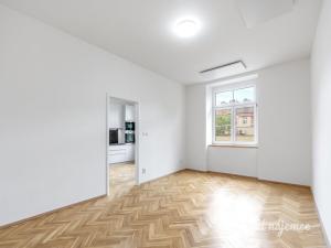 Pronájem bytu 2+kk, Praha - Holešovice, Dělnická, 52 m2