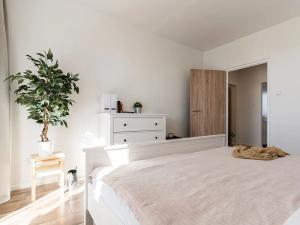 Pronájem bytu 3+kk, Mohelnice, Na Zámečku, 57 m2