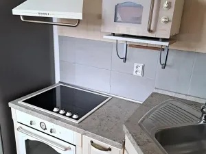 Pronájem bytu 3+kk, Děčín, Prokopa Holého, 68 m2