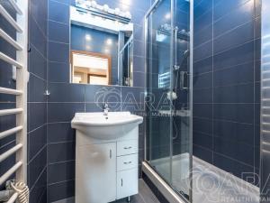 Pronájem bytu 1+1, Praha, 45 m2