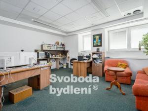 Prodej komerční nemovitosti, Srbice, 879 m2