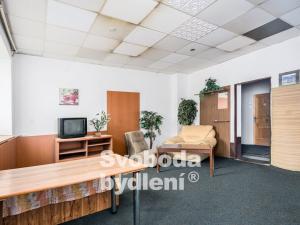 Prodej komerční nemovitosti, Srbice, 879 m2