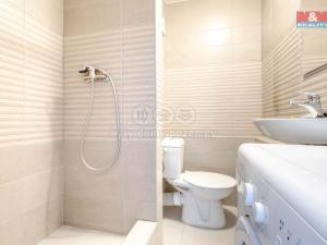 Pronájem bytu 1+kk, Raspenava, Moskevská, 20 m2