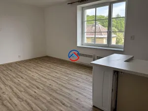 Pronájem bytu 1+kk, Šumperk, Denisova, 25 m2
