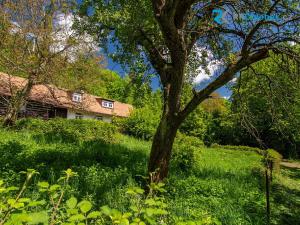 Prodej rodinného domu, Frýdlant nad Ostravicí, 116 m2