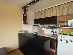 Pronájem bytu 1+kk, Brno, Souhrady, 31 m2