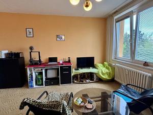 Pronájem bytu 1+kk, Brno, Souhrady, 31 m2