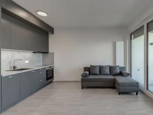Pronájem bytu 1+kk, Praha - Žižkov, Olgy Havlové, 35 m2