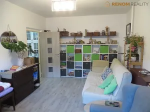 Pronájem bytu 1+1, Olomouc, Foerstrova, 41 m2