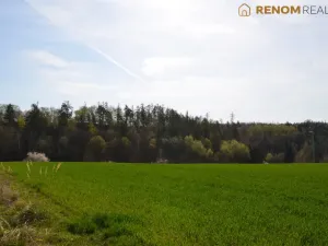 Prodej rodinného domu, Konice, Burianova, 98 m2