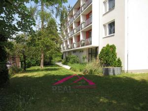 Prodej bytu 1+1, Brno, Vinařská, 44 m2
