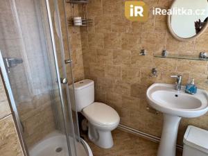 Prodej rodinného domu, Jestřabí v Krkonoších - Křížlice, 250 m2