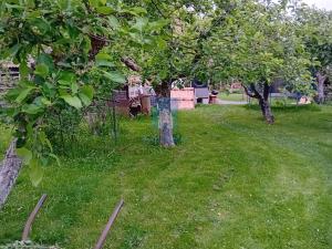 Pronájem bytu 3+1, Putim, 95 m2