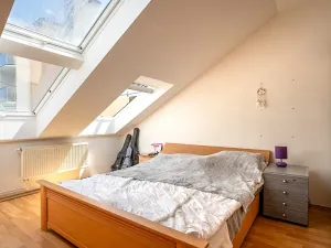 Prodej činžovního domu, Vyškov, Palánek, 600 m2