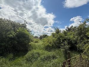 Prodej pozemku pro bydlení, Lužec nad Cidlinou, Lužec nad Cidlinou, 3495 m2