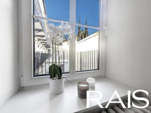 Prodej bytu 3+kk, Brno, Masarykova, 60 m2