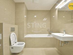 Pronájem bytu 2+kk, České Budějovice, Na Zlaté stoce, 50 m2