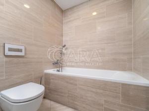 Pronájem bytu 2+kk, Praha - Holešovice, V háji, 53 m2