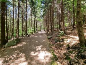 Prodej bytu 2+kk, Kořenov, 39 m2