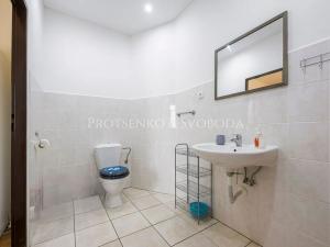 Prodej ubytování, Chlum u Třeboně, Chelčického, 425 m2