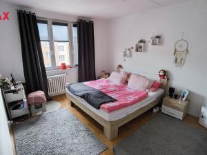 Pronájem bytu 2+1, Sokolov, Jelínkova, 52 m2