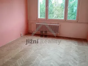 Prodej bytu 2+1, Písek, nábřeží 1. máje, 63 m2