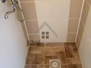 Prodej bytu 2+1, Písek, nábřeží 1. máje, 63 m2