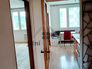Prodej bytu 2+1, Písek, nábřeží 1. máje, 63 m2