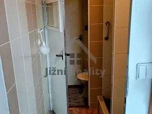 Prodej bytu 2+1, Písek, nábřeží 1. máje, 63 m2