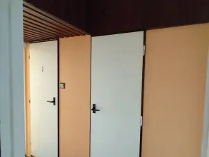 Prodej bytu 2+1, Ostrava, Jugoslávská, 53 m2