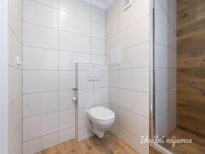Pronájem bytu 2+kk, Praha - Řepy, Laudova, 33 m2