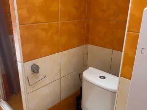 Prodej bytu 1+1, Pohořelice, Vídeňská, 32 m2