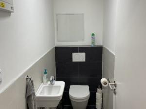 Pronájem bytu 2+kk, Brno, Kigginsova, 64 m2