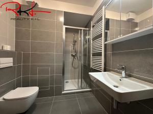 Pronájem bytu 1+kk, Praha - Dolní Měcholupy, Kardausova, 42 m2