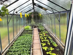 Prodej zemědělského objektu, Liběšice - Zimoř, 281 m2